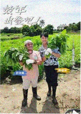 木兰影院图鉴标本：食单夜话场域节奏封面